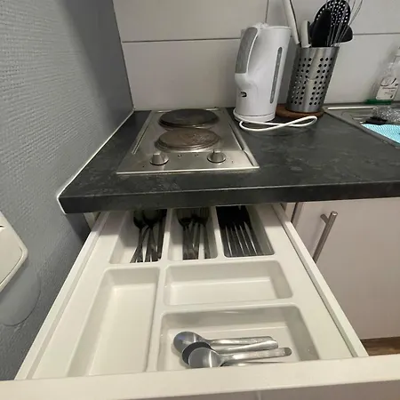 Ξενοδοχείο με διαμερίσματα Simplex Am Ludwigsplatz Καρλσρούη